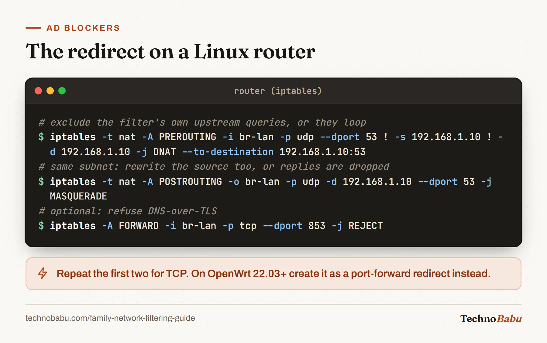 iptables rules: DNAT UDP port 53 from the LAN to the filter at 192.168.1.10 excluding the filter itself, MASQUERADE replies, and reject port 853.