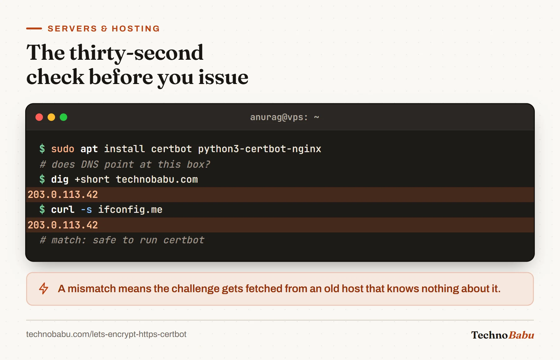 Terminal: install certbot, then dig and curl ifconfig.me both return 203.0.113.42, confirming DNS points at the server.