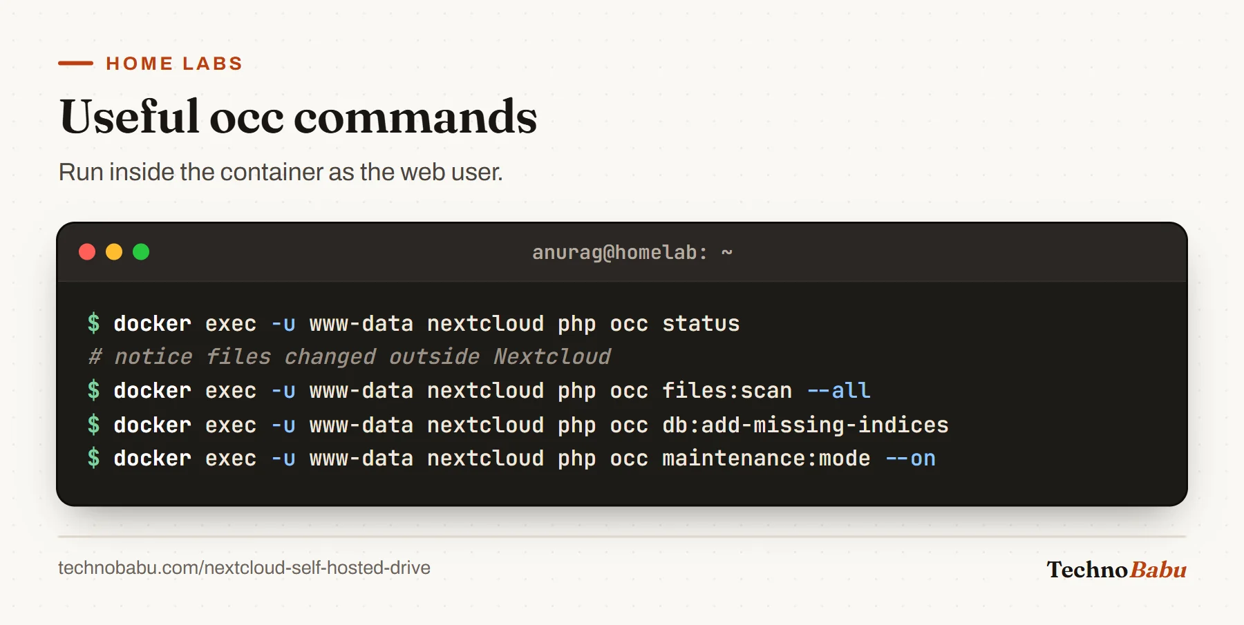 Terminal: occ status, files:scan --all, db:add-missing-indices and maintenance:mode --on, each run with docker exec as www-data.