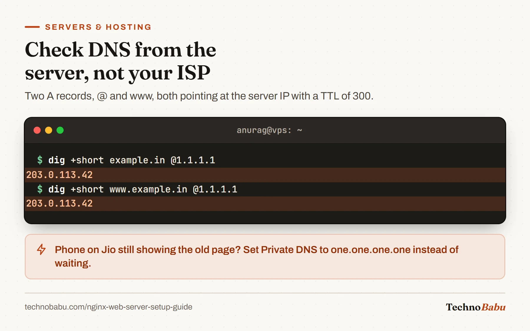 Terminal: dig queries for example.in and www.example.in against 1.1.1.1 both return 203.0.113.42.