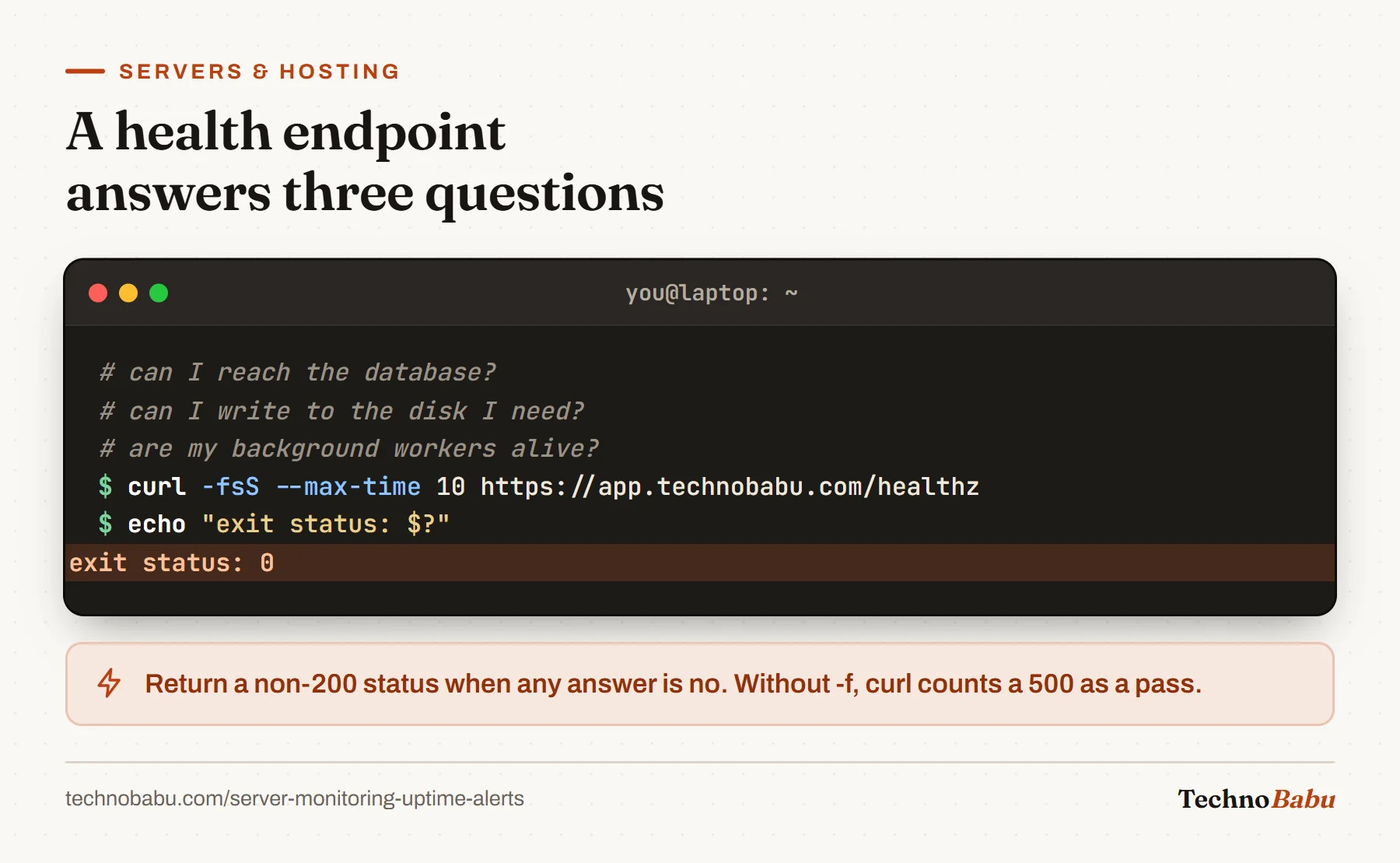 Terminal: comments listing the three health questions, then curl -fsS against the /healthz endpoint and an exit status of 0.