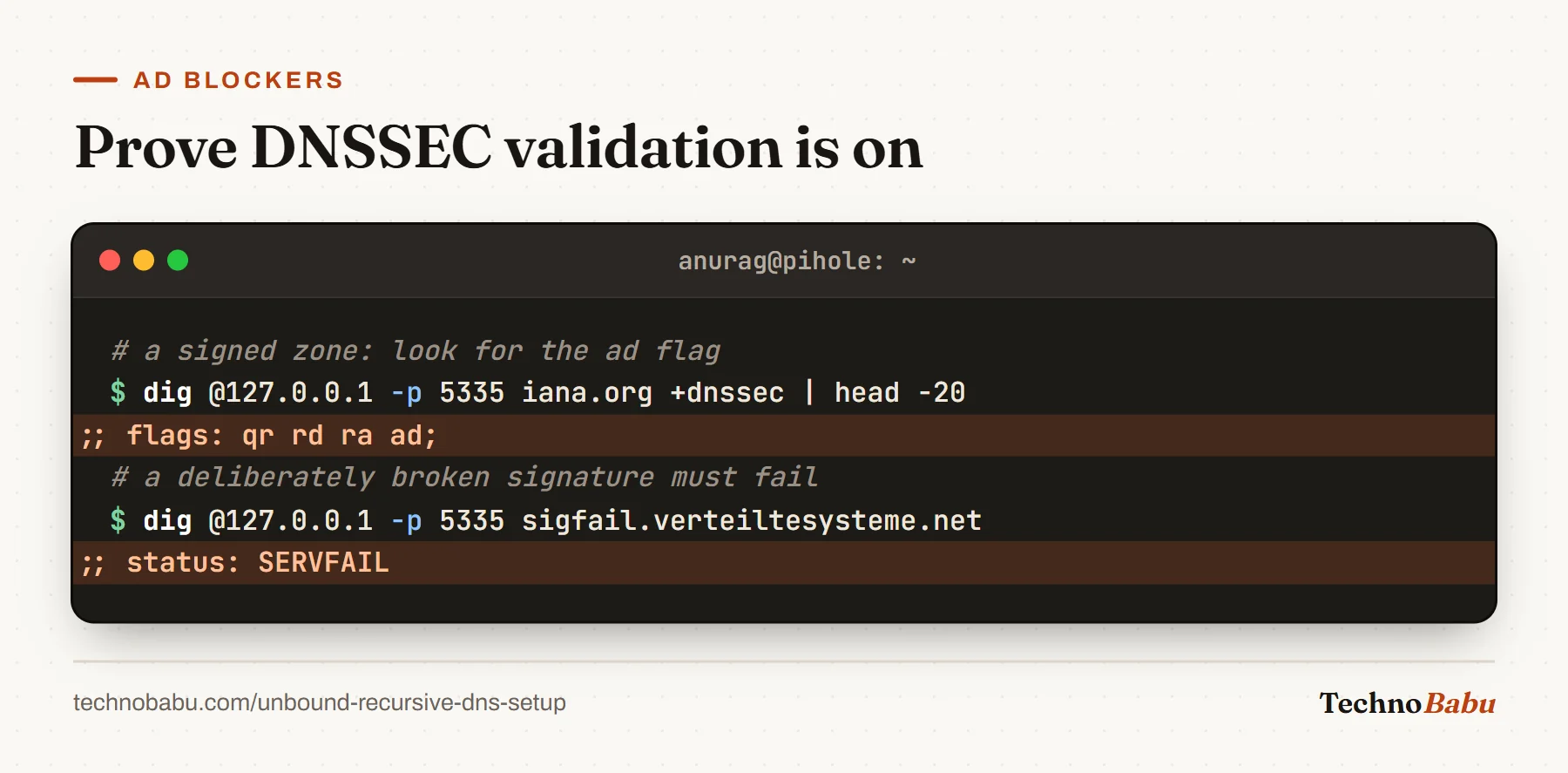 Terminal: dig for iana.org shows the ad flag meaning authenticated data, and dig for sigfail.verteiltesysteme.net returns SERVFAIL.